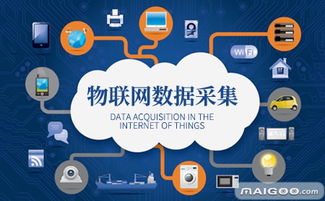 绿度 引领物联网与信息服务创新的软件开发品牌